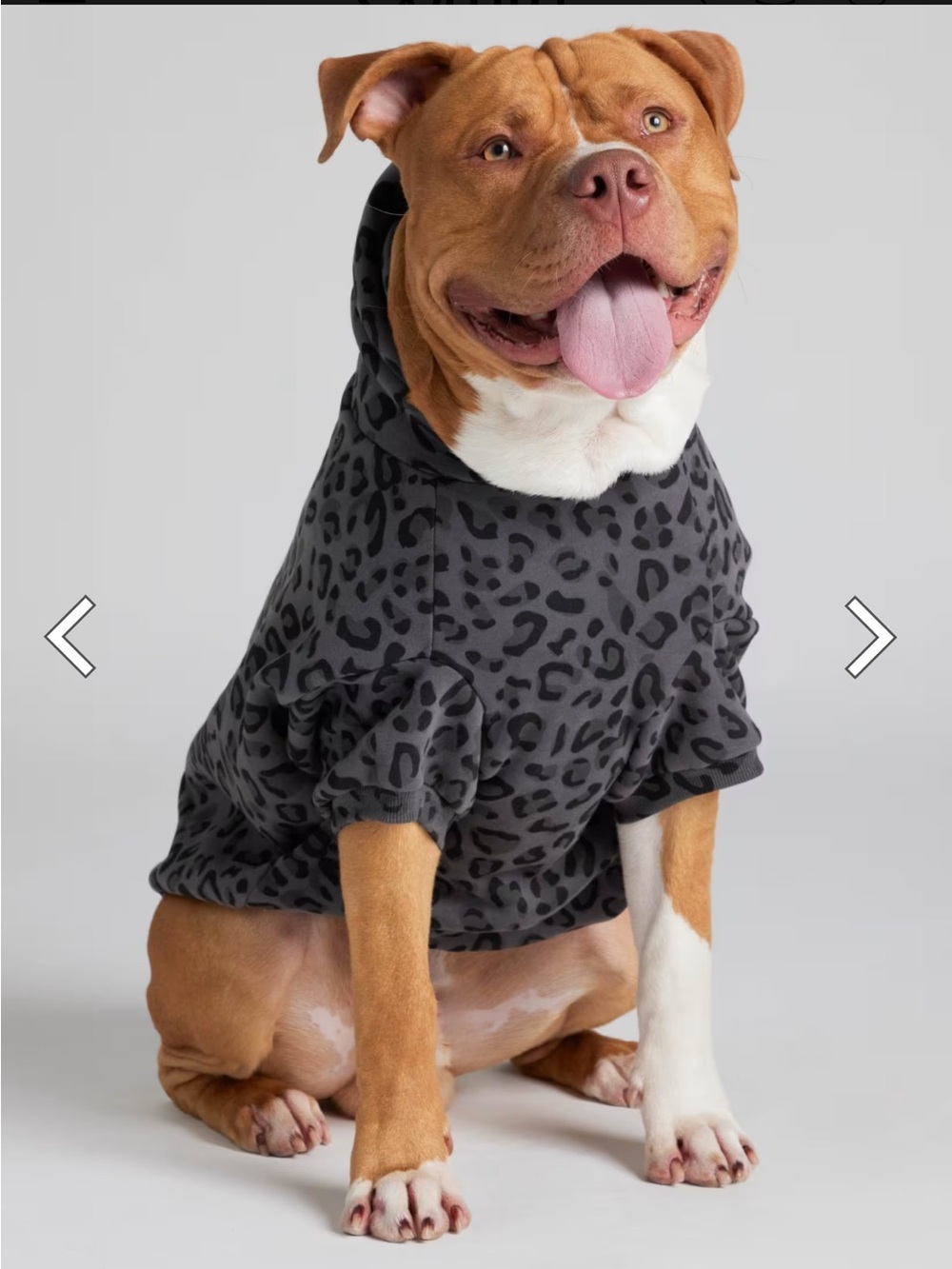 COMFRT Minimalist Paw Hoodie size 2XL